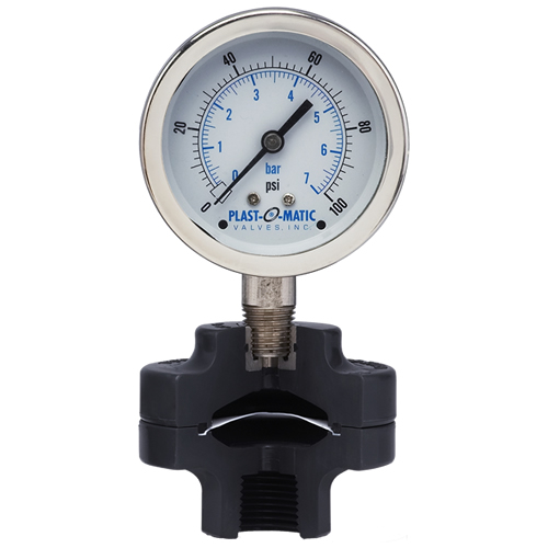 0-15 Psi CPVC Gauge Guard With 2.5" SS Gauge & FKM Diaphragm | U.S ...